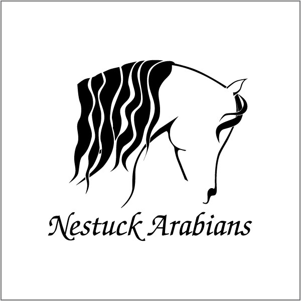 nestuck-arabians-logo-